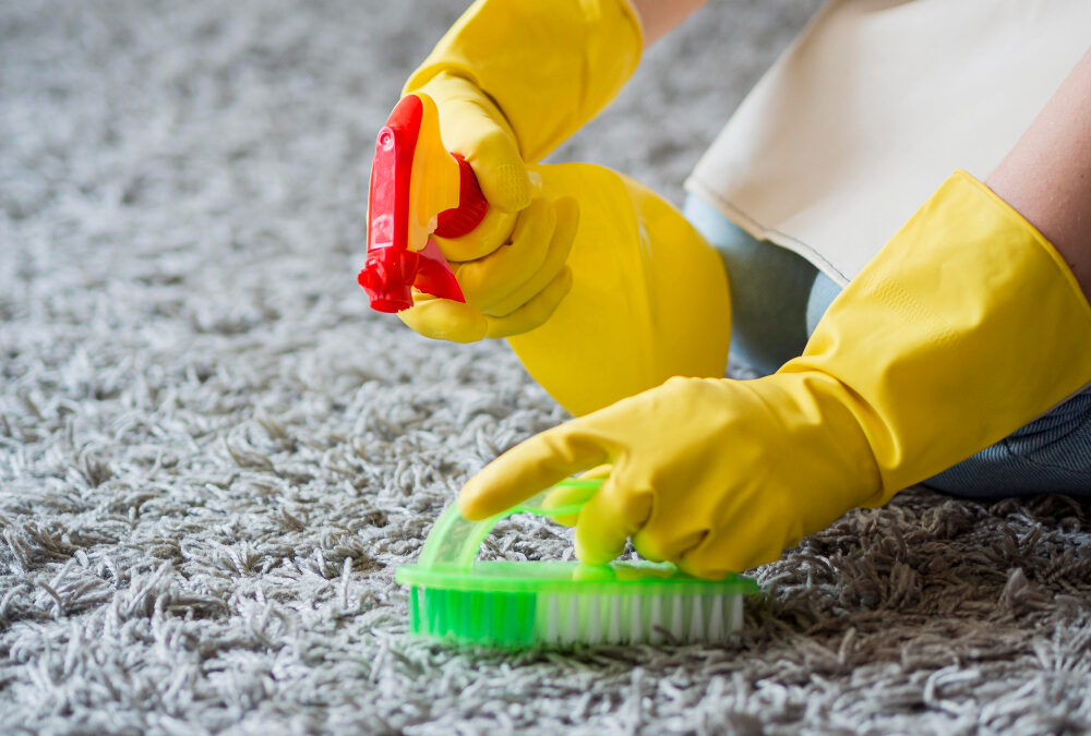 Expert Tips for Maintaining and Cleaning Your Area Rugs
