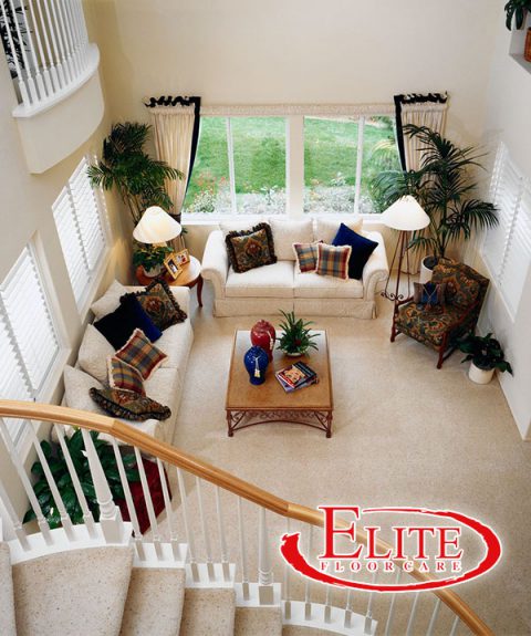 Elite Carpet Care | Brantford's Best Carpet Cleaning Company