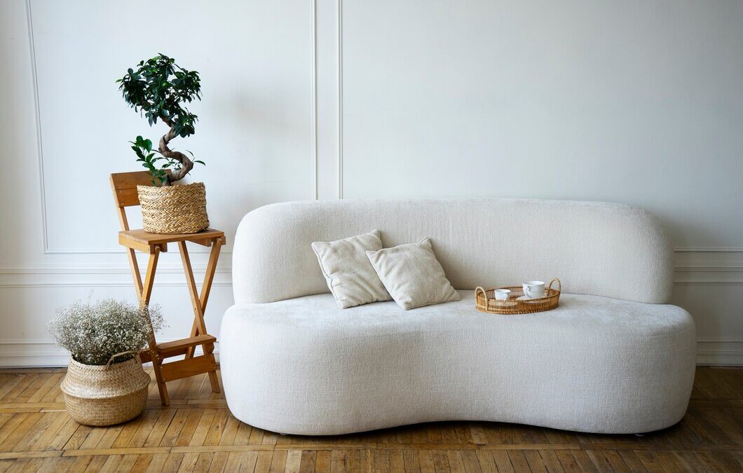 Keeping Couches Comfy and Clean: Our Upholstery Cleaning Secrets