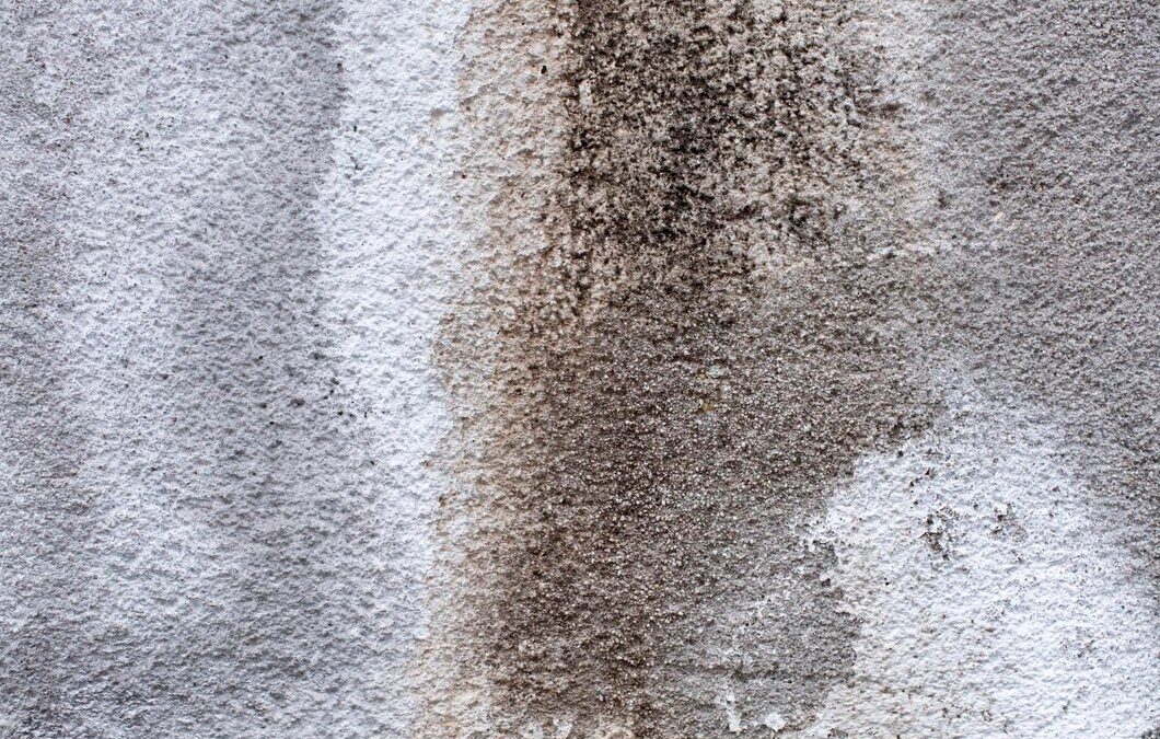 Easy Solutions for Carpet Stains