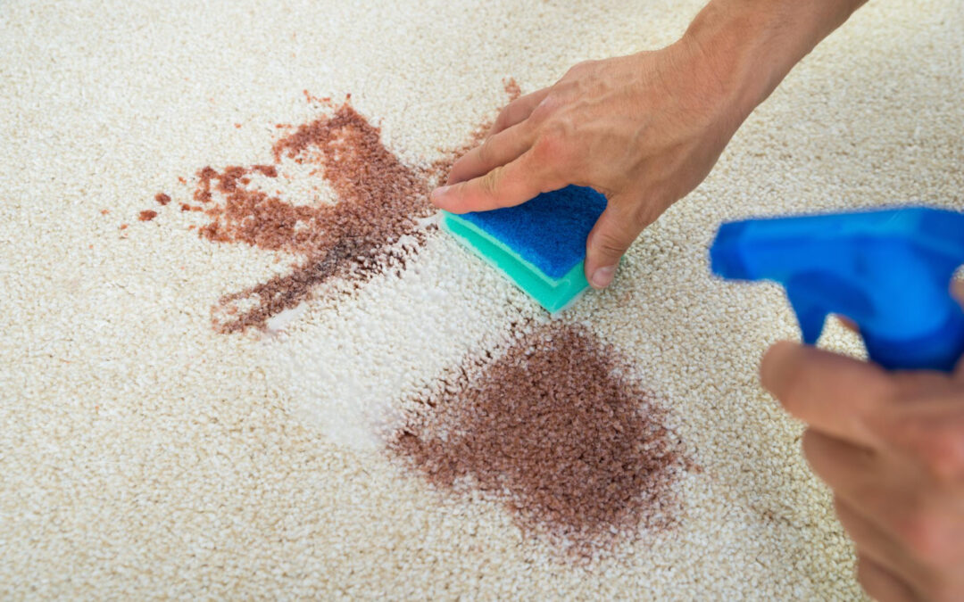 Quick Carpet Stain Removal Hacks from Us